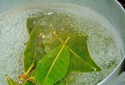 A decoction of bay leaves for a relaxing bath for problems with potency