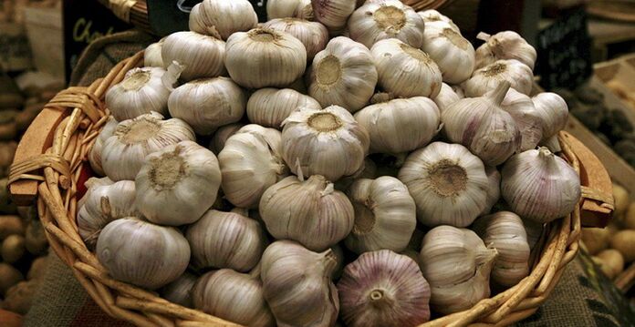 Garlic normalizes blood circulation in the genitals of a man