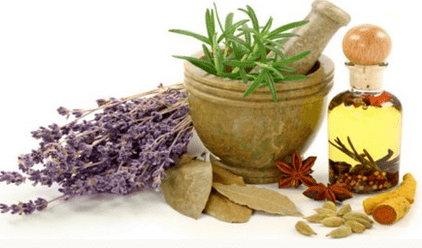 Folk remedies to increase potency
