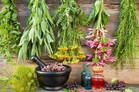 Herbs and extracts for male potency